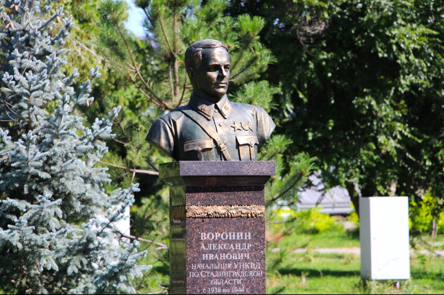 Воронин ФСБ